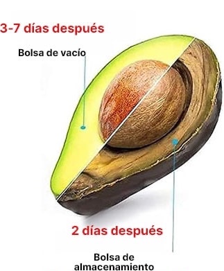 Envasadora al vacío Fresh® + 6 Bolsas