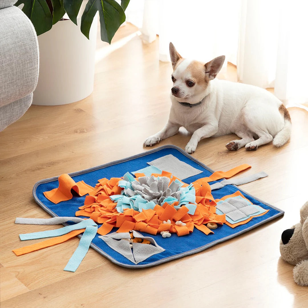 Alfombra Olfativa Petsy® (Nuevo modelo)