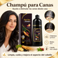 Champú para Canas Buny®