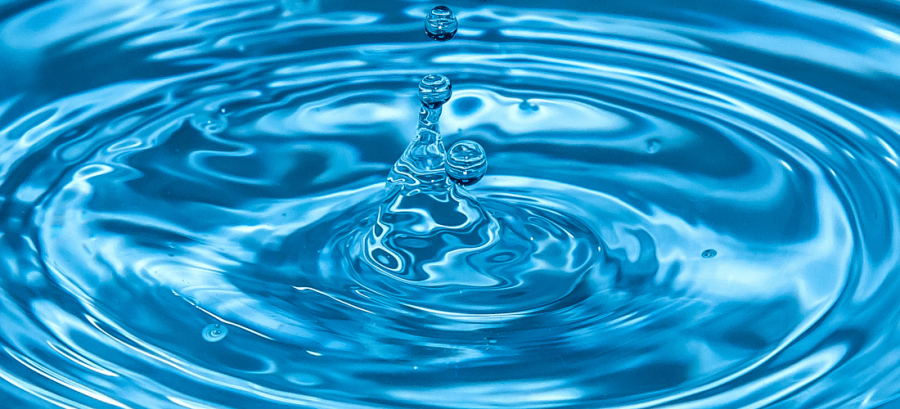 Fuente Bebedero para gatos iCats®